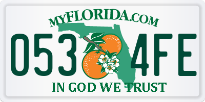 FL license plate 0534FE