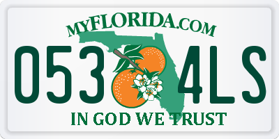 FL license plate 0534LS