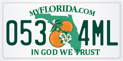 FL license plate 0534ML