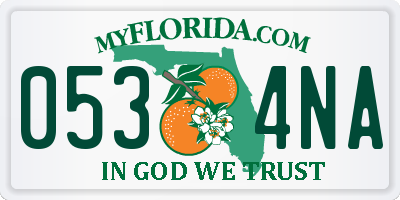 FL license plate 0534NA