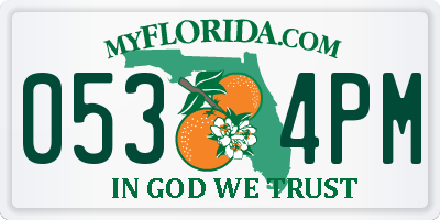 FL license plate 0534PM