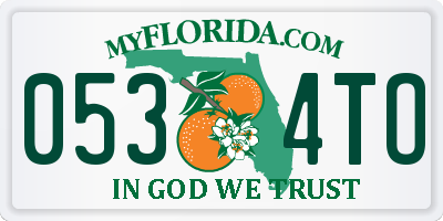 FL license plate 0534TO