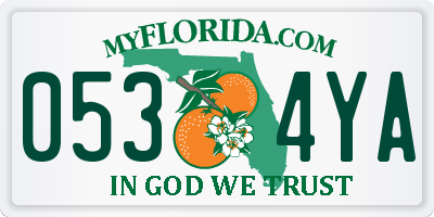 FL license plate 0534YA