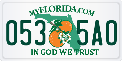FL license plate 0535AO