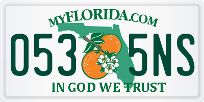 FL license plate 0535NS