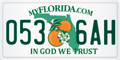 FL license plate 0536AH