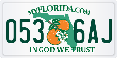 FL license plate 0536AJ