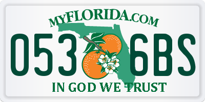 FL license plate 0536BS