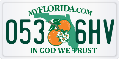 FL license plate 0536HV