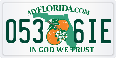 FL license plate 0536IE