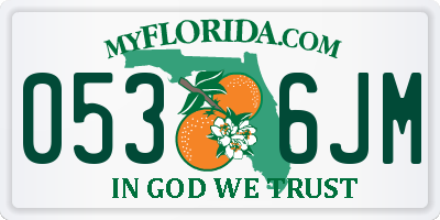 FL license plate 0536JM