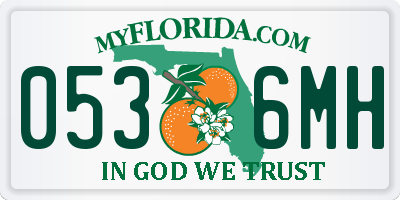FL license plate 0536MH