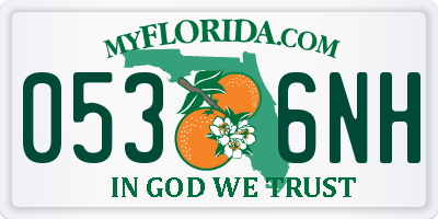 FL license plate 0536NH