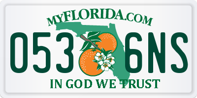 FL license plate 0536NS