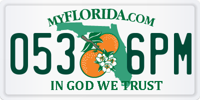 FL license plate 0536PM