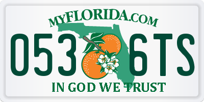 FL license plate 0536TS