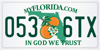 FL license plate 0536TX