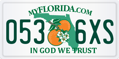 FL license plate 0536XS