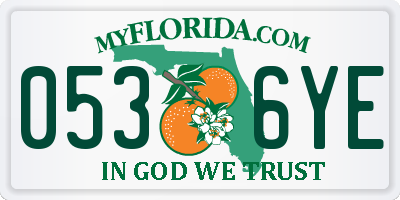 FL license plate 0536YE