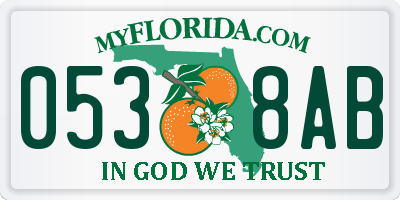 FL license plate 0538AB