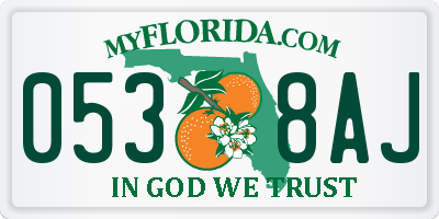 FL license plate 0538AJ