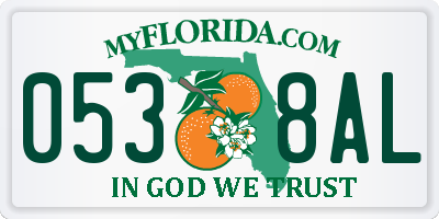 FL license plate 0538AL