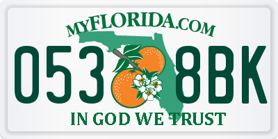 FL license plate 0538BK
