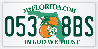 FL license plate 0538BS