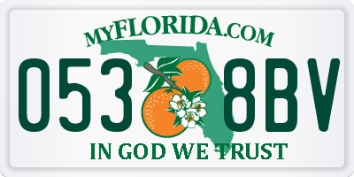 FL license plate 0538BV