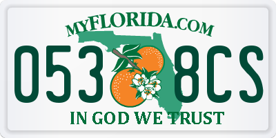 FL license plate 0538CS