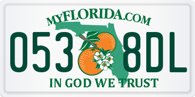FL license plate 0538DL