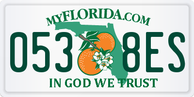 FL license plate 0538ES