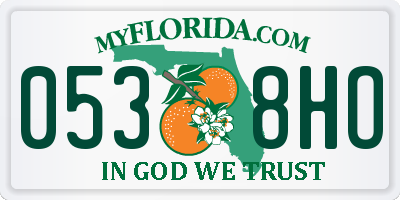 FL license plate 0538HO