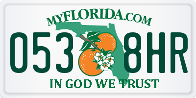 FL license plate 0538HR