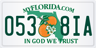 FL license plate 0538IA