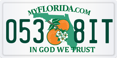 FL license plate 0538IT