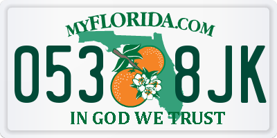 FL license plate 0538JK