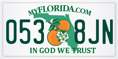 FL license plate 0538JN