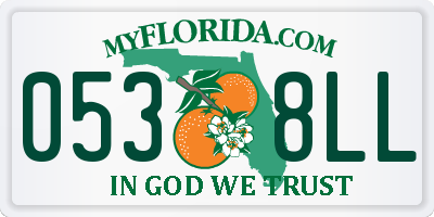 FL license plate 0538LL
