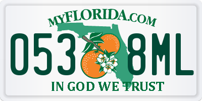 FL license plate 0538ML