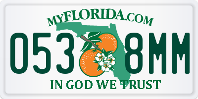 FL license plate 0538MM
