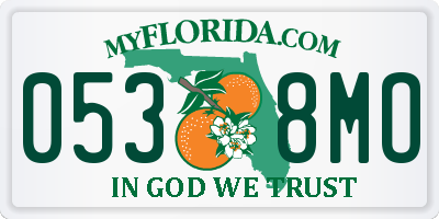 FL license plate 0538MO