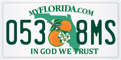 FL license plate 0538MS