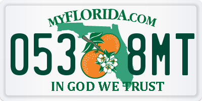 FL license plate 0538MT