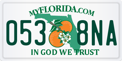 FL license plate 0538NA