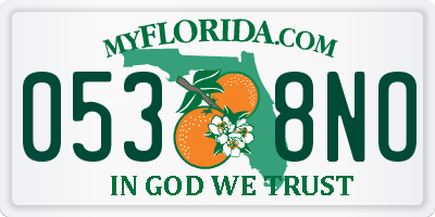 FL license plate 0538NO