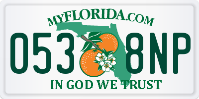 FL license plate 0538NP