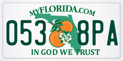 FL license plate 0538PA