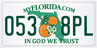 FL license plate 0538PL