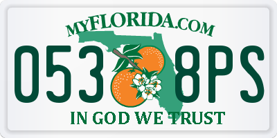 FL license plate 0538PS